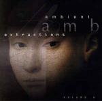 Various - Ambient Extractions - Volume 1 - C & S Records - Ambient 