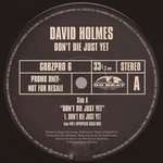 David Holmes - Don't Die Just Yet - Go! Beat - Techno