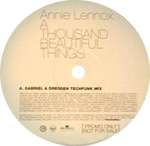 Annie Lennox - A Thousand Beautiful Things - BMG UK & Ireland - Progressive
