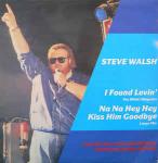 Steve Walsh  - I Found Lovin' (You What! Megamix) / Na Na Hey Hey Kiss Him Goodbye (Large Mix) - A.1. Records - UK House