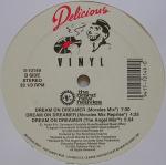 The Brand New Heavies - Dream On Dreamer - Delicious Vinyl - US House