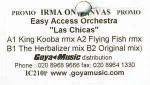 The Easy Access Orchestra - Las Chicas - Irma On Canvas - Future Jazz