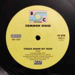 Common Sense - Voices Inside My Head - Groovin Recordings - Disco