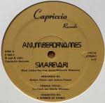 A Number Of Names - Sharevari - Capriccio Records (2) - Electro