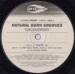 Natural Born Grooves - Groovebird - Heat Recordings - Progressive