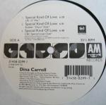 Dina Carroll - Special Kind Of Love - A&M Records - UK House