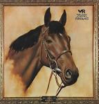 Various - The Story Of Mill Reef- Something To Brighten The Morning - York Records - Folk