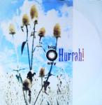 Hurrah! - Big Sky - Kitchenware Records - Indie