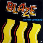 Blaze - Watcha Gonna Do - Champion - US House