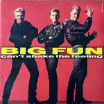 Big Fun - Can't Shake The Feeling - Jive - Synth Pop