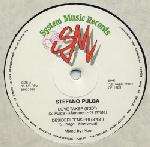 Stefano Pulga - Love Taker / Desideri Pensieri - System Music - Italo Disco