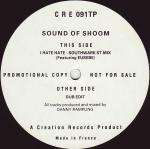 Sound Of Shoom, The & Steve Eusebe - I Hate Hate - Creation Records - UK House